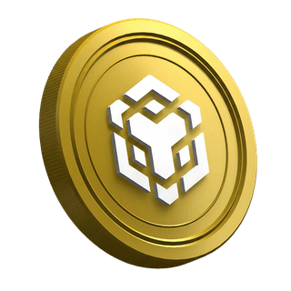 Pagina della guida per il trader principiante con criptovaluta BNB